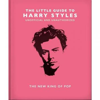Little Guide To Harry Styles
