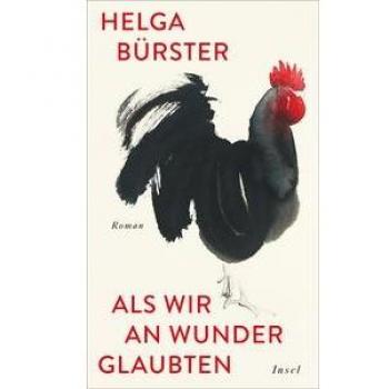 Als wir an Wunder glaubten | Helga Bürster