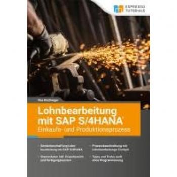 Dischinger, Ilka: Lohnbearbeitung mit SAP S/4HANA