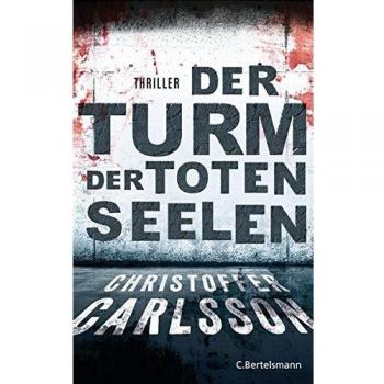Der Turm der toten Seelen: Thriller Bd.1