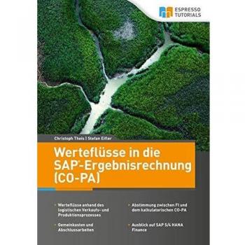 Werteflüsse in die SAP-Ergebnisrechnung (CO-PA)