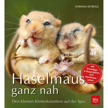 Korinna Seybold Haselmaus Ganz Nah: Den Kleinen Kletterkünstlern Auf Der Spur