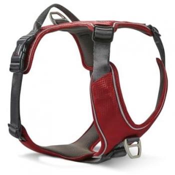 Wolters Hunde-Leuchtgeschirr Active Pro Comfort