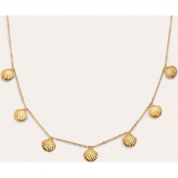 Collar “Oro Marino” – Cadena de acero bañado, conchas pequeñas, 35 cm + 5 cm