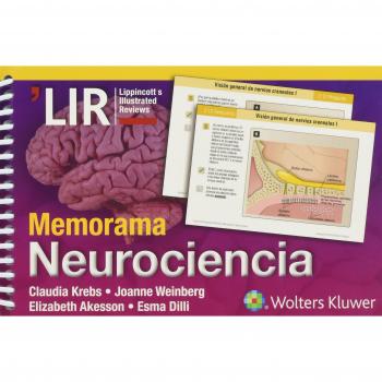 Memorama. Neurociencia