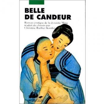 Belle de Candeur. Zhulin yeshi ou Histoire non officielle de Zhulin, roman érotique de la dynastie Ming