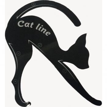 Cat Eye Eyeliner Guide