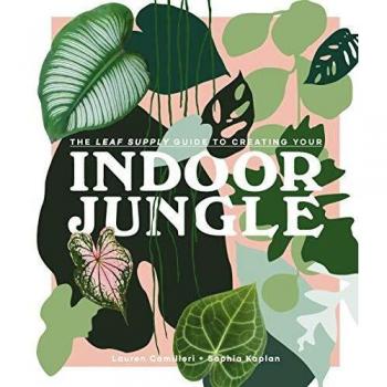 Leaf Supply Guide to Creating Your Indoor Jungle