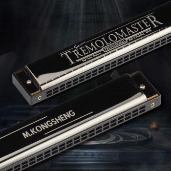 Gaitas Kongsheng Harmonica 24 Trous – Clé de C