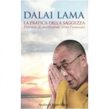 La pratica della saggezza. Percorso di meditazione verso l'armonia