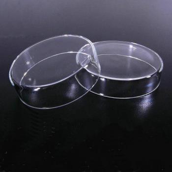 8pcs 75mm Glass Petri Dish with Cover for Culturing
