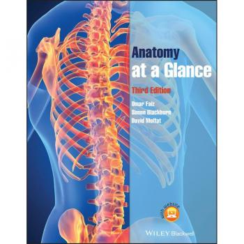 Vitalsource Technologies, Inc. Anatomy At A Glance