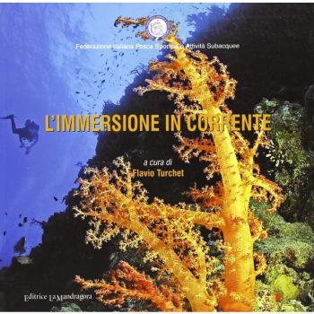 L'immersione in corrente