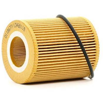 Filtro motore STARK SKOF-0860193