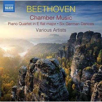 NAXOS Beethoven: Chamber Music (CD).