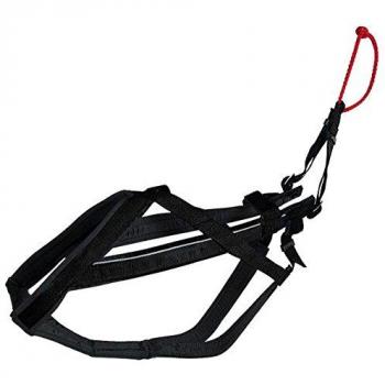 Neewa Fahrgeschirr Schwarz Small