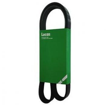 Trapezium Pol V Belt Lucas 7PK1095L