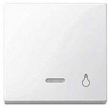 Tecla de luz con visor marfil Schneider Electric MTN435919