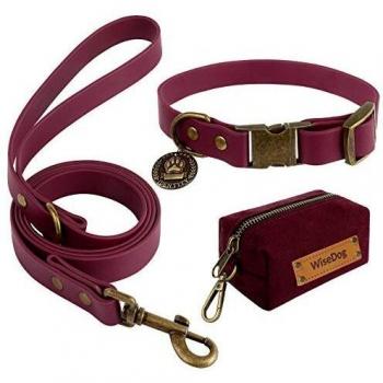 Durable Dog Collar and Leash Combo with Bonus Poop Bag Holder (S, Burgundy)