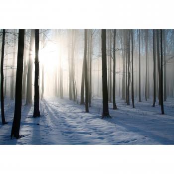 Papermoon Fototapete »Winterliche Nebellandschaft«