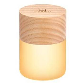 Chromatic Ginkgo Light – White Ash