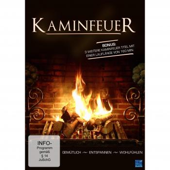 Kaminfeuer 2013
