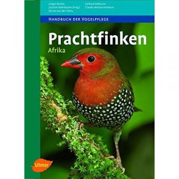 Prachtfinken Afrika