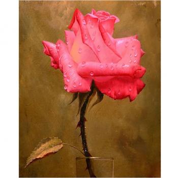 Ensemble de point de croix fleur 20x30CM