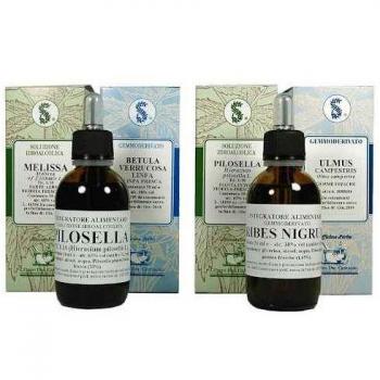 Ginkgo Biloba Extracto 60ml
