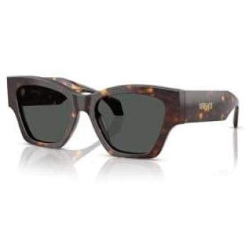 Versace Female 53mm Brown Tortoise‑Shell Sunglasses