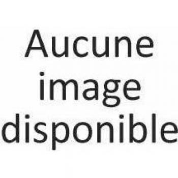 Boîtier d'allumage sans ventouse Frisquet F3AA40364