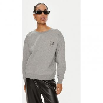 Set „Pinko“ – Graues Sweatshirt, Regular Fit – Code 101831 A21P