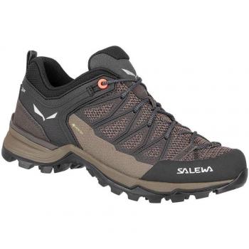 Salewa Mountain Trainer Lite Gore-Tex Frau Grau