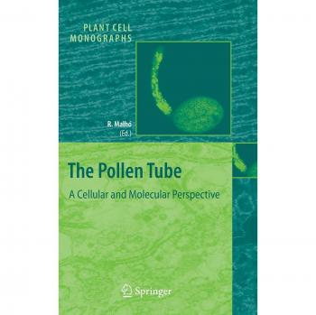 The Pollen Tube