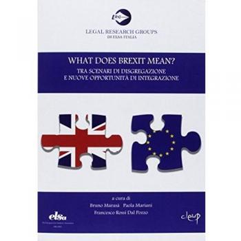 What does Brexit mean? Tra scenari di disgregazione e nuove opportunità di integrazione