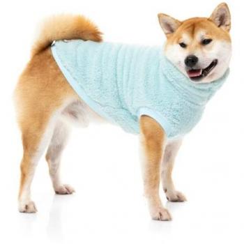 FuzzYard Schildkröten-Teddy Sweatshirt in Blau mit Arctic Ice Design