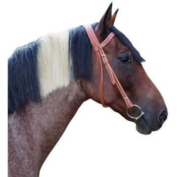 Marrón Poni Cabezada Western Missouri