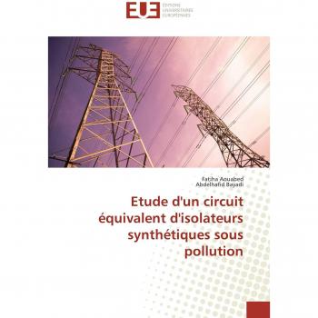 Etude d'un circuit équivalent d'isolateurs synthétiques sous pollution