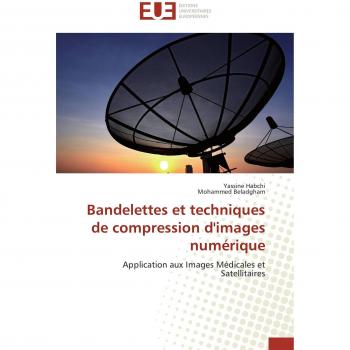 Bandelettes et techniques de compression d'images numérique: Application aux Images Médicales et Satellitaires