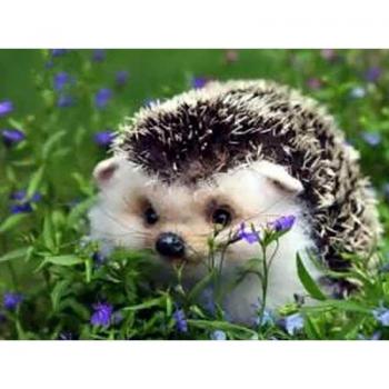 Mosaik-Stickerei 5D – Igel & Blume Kreuzstich 20×30 cm