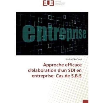 Approche efficace d'élaboration d'un SDI en entreprise: Cas de S.B.S