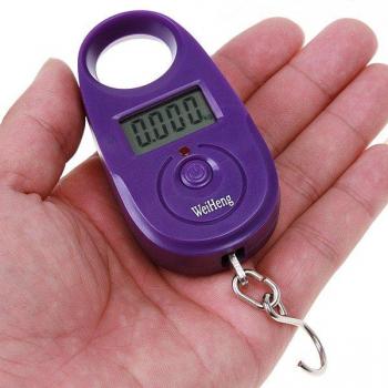 Numérique Bagages 25 kg / 5 g