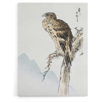 Kashu Kite Bird Canvas Print – 24x32