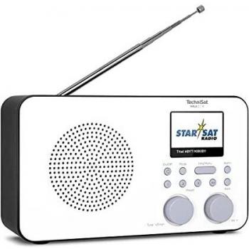 TechniSat Internet-Radio »VIOLA 2 C IR Tragbares«