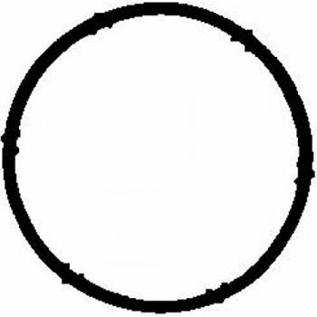 VICTOR REINZ Gasket, intake manifold 71-34203-00