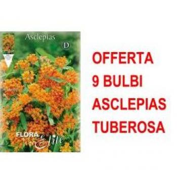 9 Bulbi Asclepias Tuberosa: Offerta Primaverile