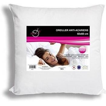 Soleil d'ocre oreiller 60x60 cm anti-acariens blanc