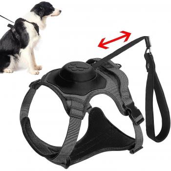 Harnais de sécurité pour chien avec fonction rétractable