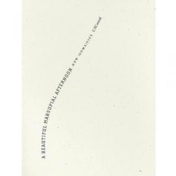 A Beautiful Marsupial Afternoon: New