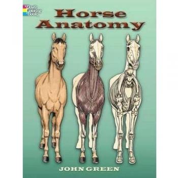 Horse Anatomy Coloring Book
